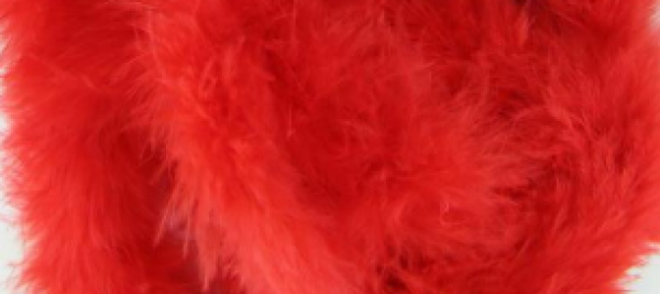 Federboa rot